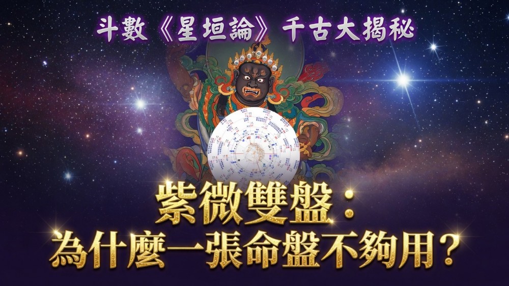 紫微雙盤_紫微斗數