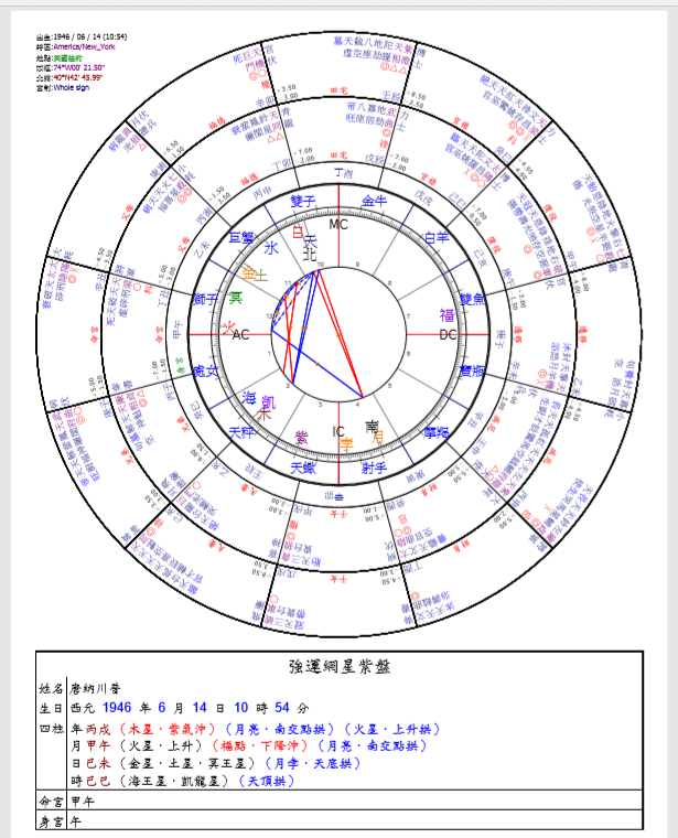 八字星紫盤範例